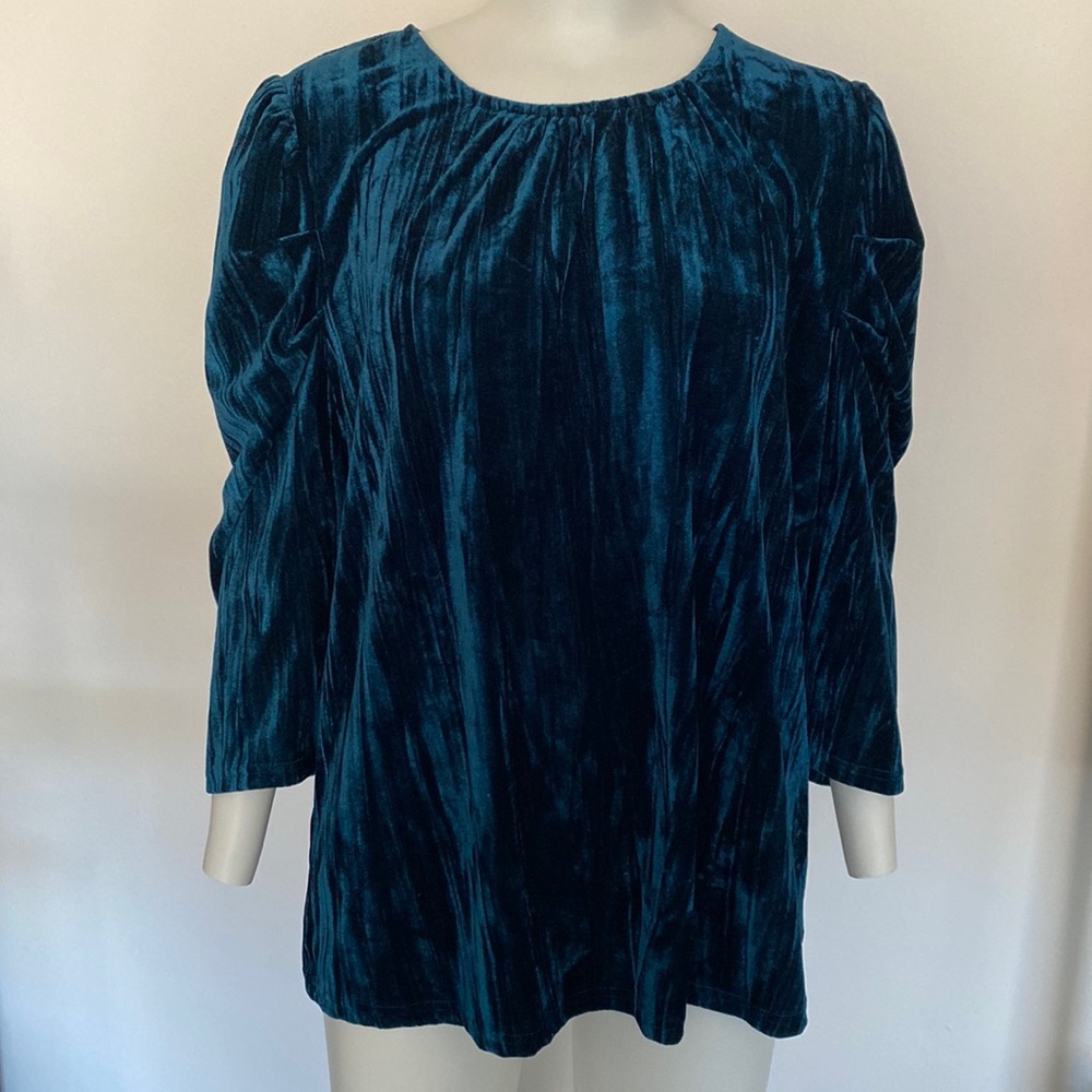 💖 2/$25 g.p.d. Blue Velvet Blouse with Puff Sleeves